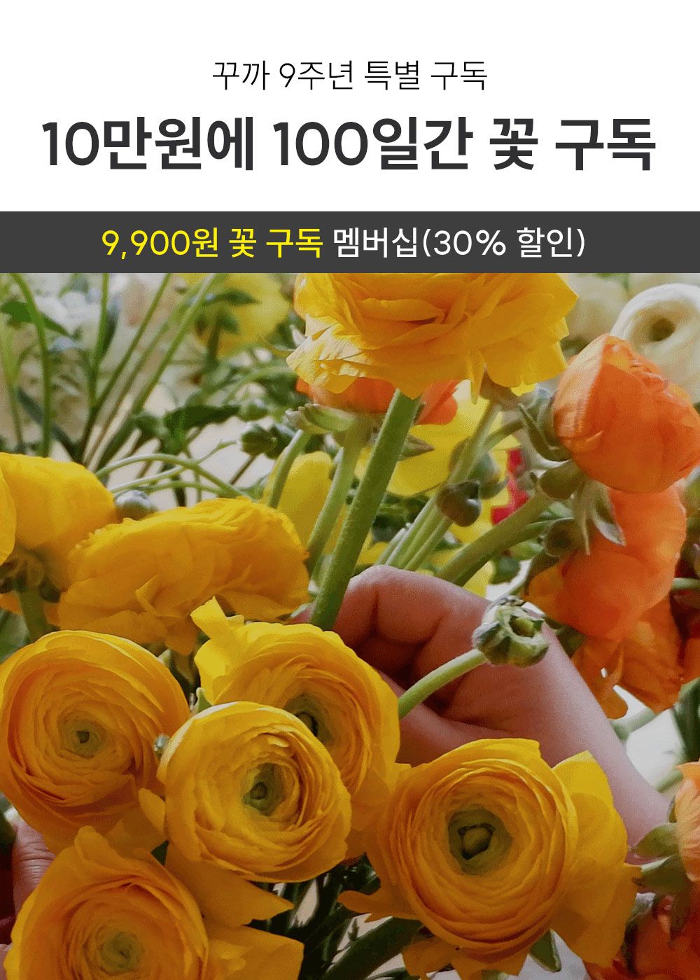 [9주년 특별구독] 추가 99명 모집! 100일간 10만원으로 꽃 구독