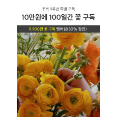 [9주년 특별구독] 추가 99명 모집! 100일간 10만원으로 꽃 구독